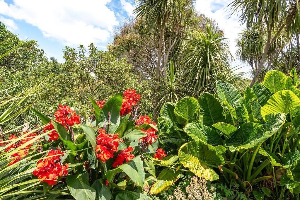 Oneroa Bay Villa Waiheke エクステリア 写真