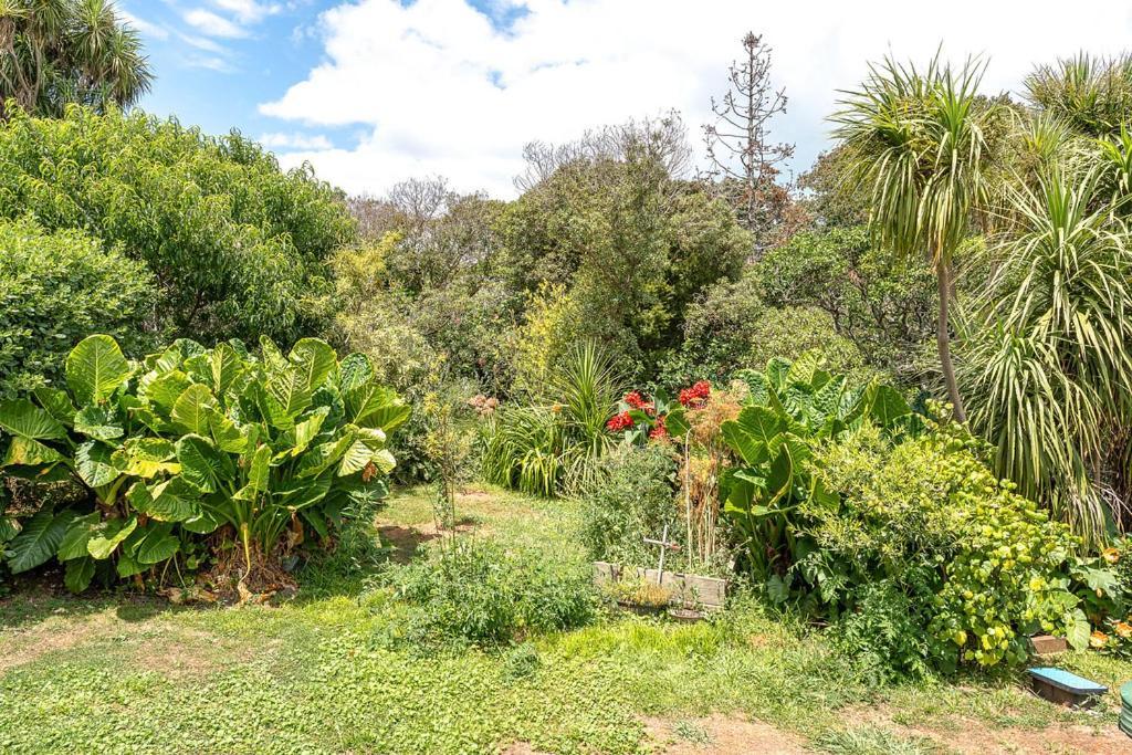 Oneroa Bay Villa Waiheke エクステリア 写真