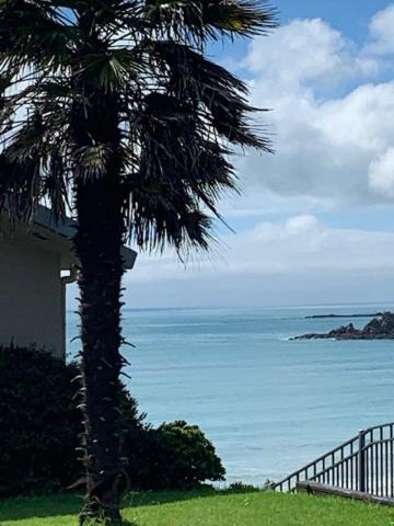 Oneroa Bay Villa Waiheke エクステリア 写真