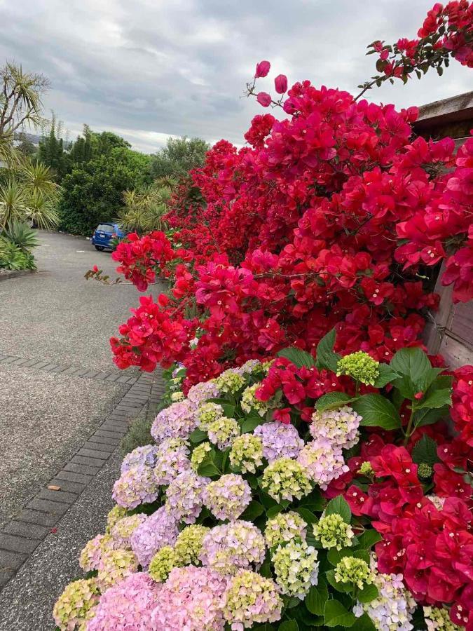 Oneroa Bay Villa Waiheke エクステリア 写真